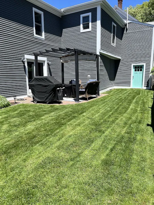 Politis Painting Picture 7