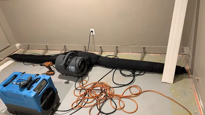 Dry As A Bone Picture 4