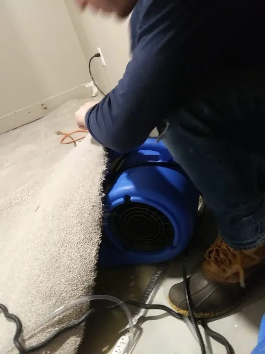 Dry As A Bone Picture 2