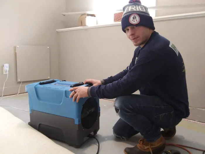 Dry As A Bone Picture 3