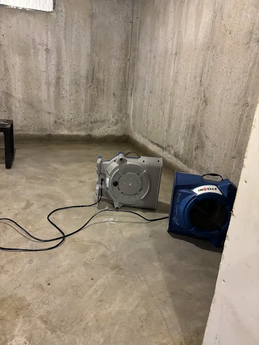 Magic Carpet Cleaning & Restoration Picture 8