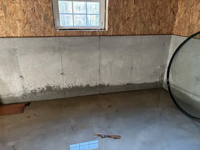 Magic Carpet Cleaning & Restoration Picture 3