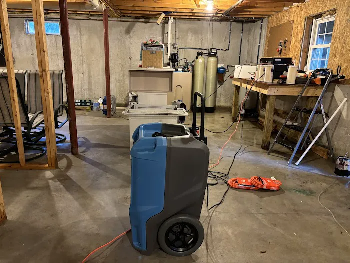 Magic Carpet Cleaning & Restoration Picture 4