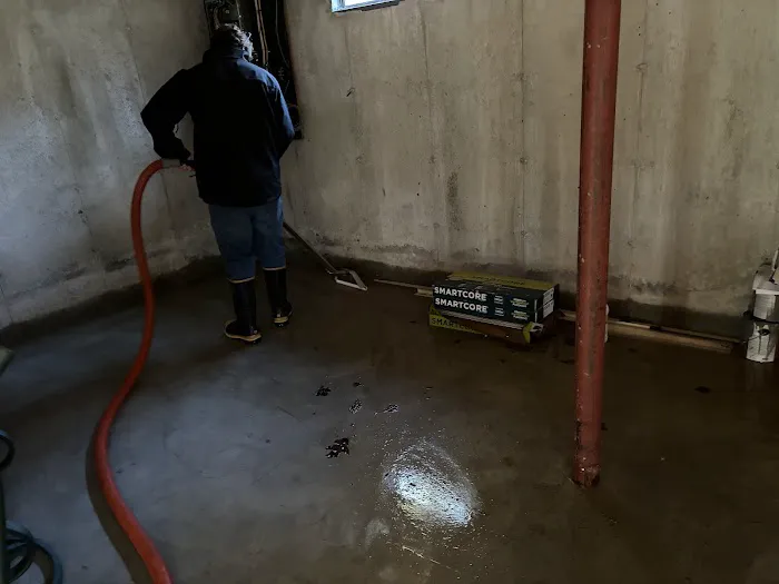 Magic Carpet Cleaning & Restoration Picture 1