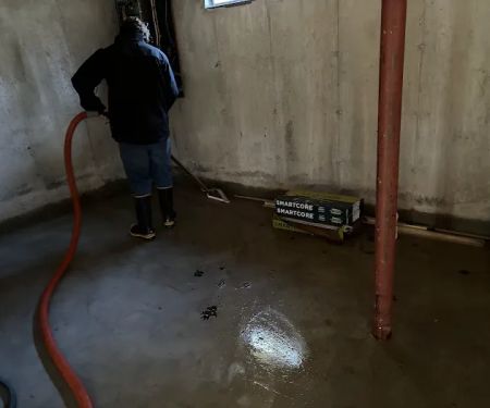 Magic Carpet Cleaning & Restoration