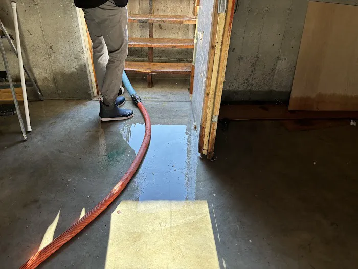 Magic Carpet Cleaning & Restoration Picture 2