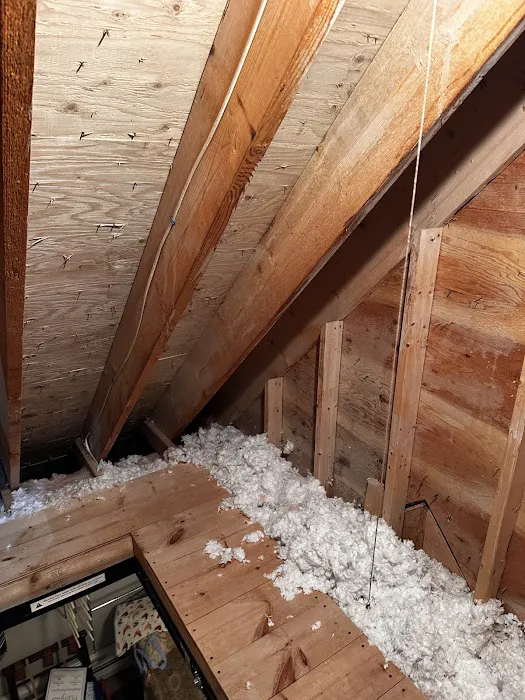 Octagon Cleaning and Restoration Picture 1