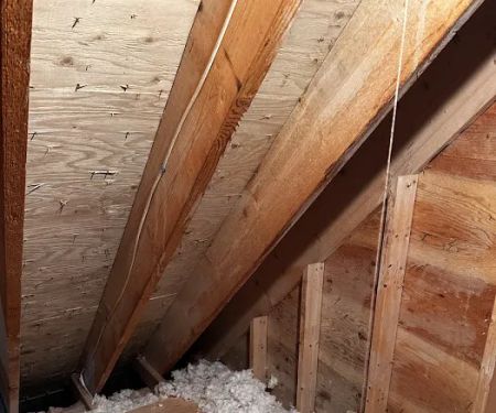 Octagon Cleaning and Restoration