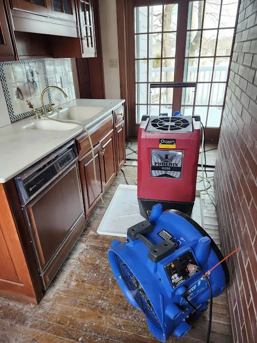 Octagon Cleaning and Restoration Picture 9