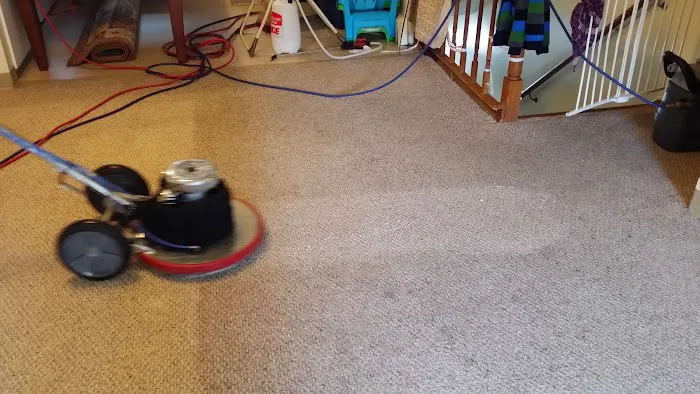 Bone Dry Carpet Cleaning Picture 3