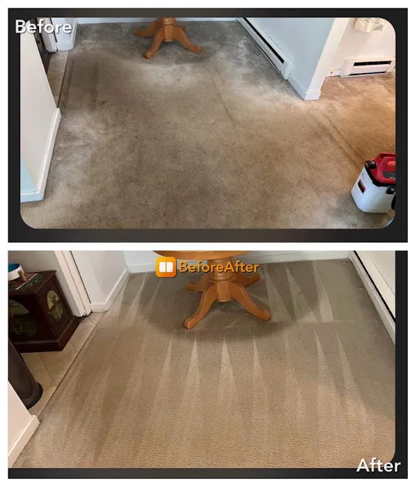 Bone Dry Carpet Cleaning Picture 5