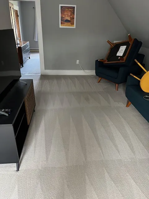 Bone Dry Carpet Cleaning Picture 1