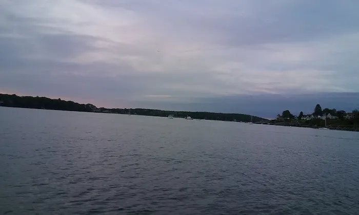 Bone Dry Carpet Cleaning Picture 7