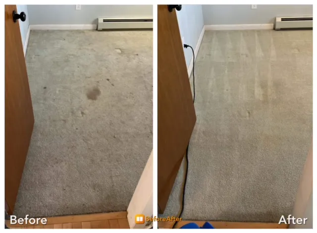 Bone Dry Carpet Cleaning Picture 2