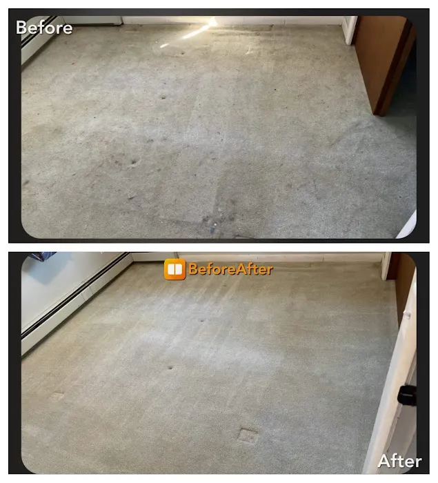 Bone Dry Carpet Cleaning Picture 8