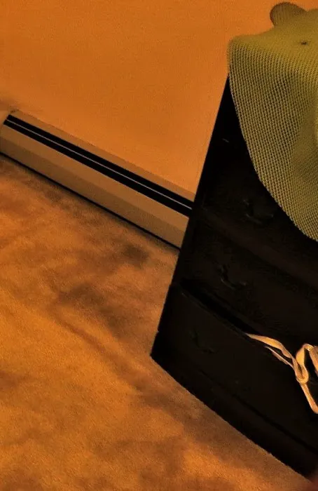 Stanley Steemer Picture 2