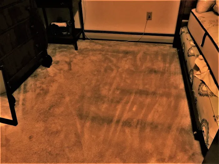 Stanley Steemer Picture 3