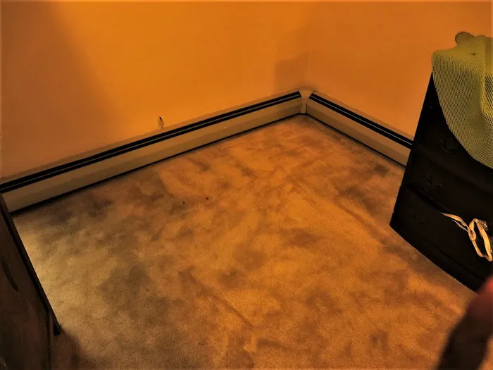 Stanley Steemer Picture 4