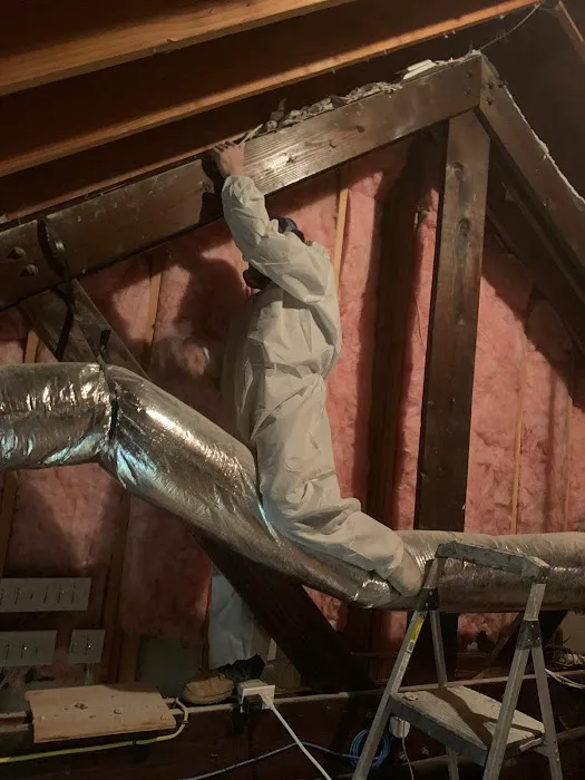 Long Island Mold Removal Pros Picture 5