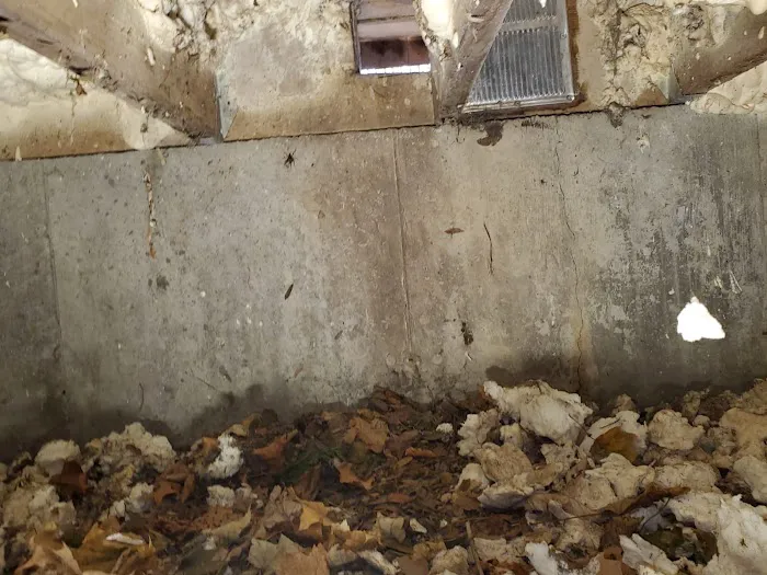 Long Island Mold Removal Pros Picture 6