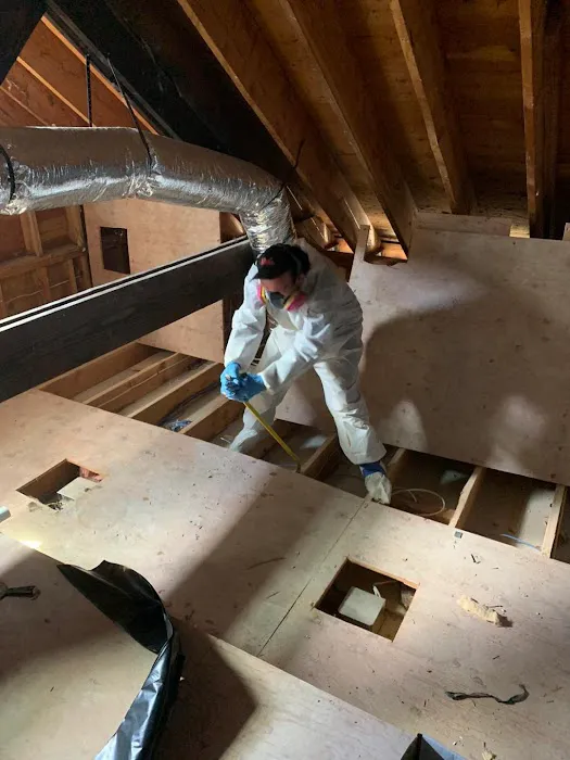 Long Island Mold Removal Pros Picture 3