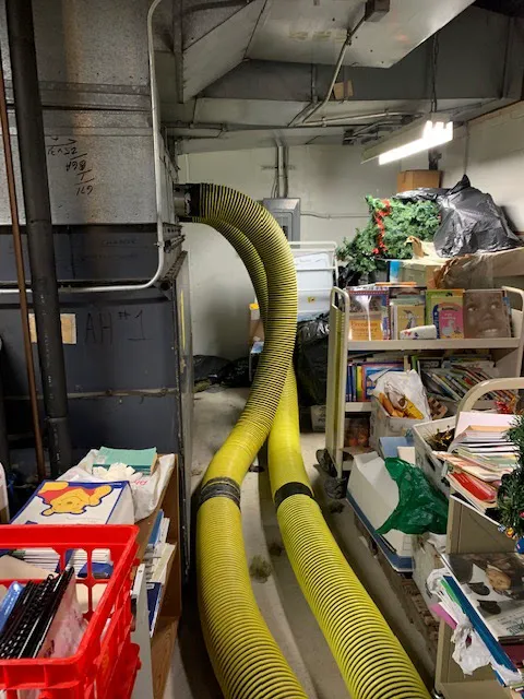 Long Island Mold Removal Pros Picture 9