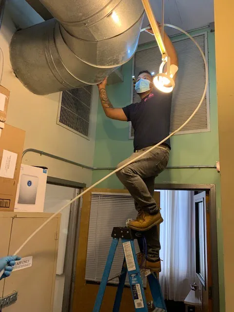 Long Island Mold Removal Pros Picture 8