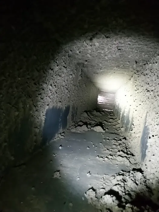 Long Island Mold Removal Pros Picture 4