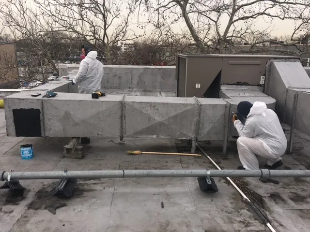 Long Island Mold Removal Pros Picture 1