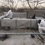 Long Island Mold Removal Pros