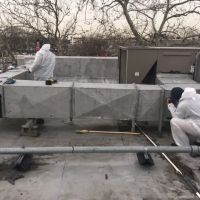Long Island Mold Removal Pros ico