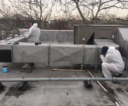 Long Island Mold Removal Pros