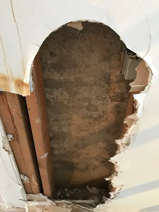 Long Island Mold Removal Pros Picture 2