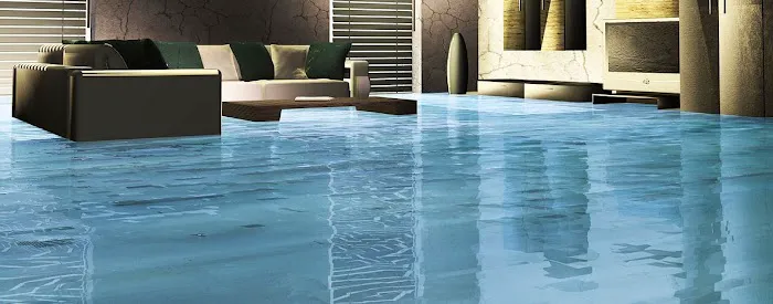 Black Mold Removal Long Island Picture 1