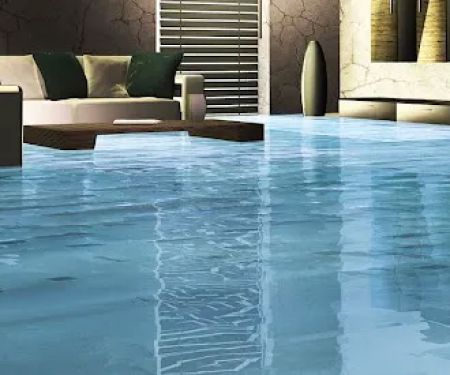 Black Mold Removal Long Island