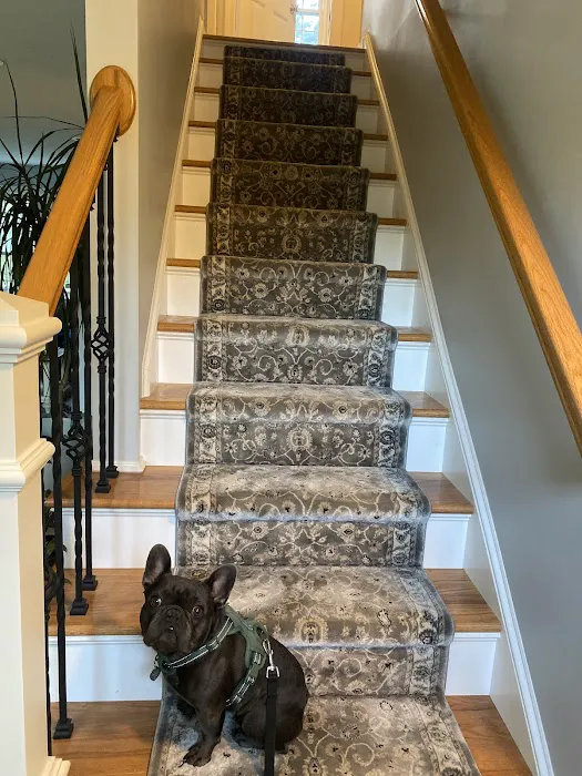 Freedom Cleaning, LLC Picture 10