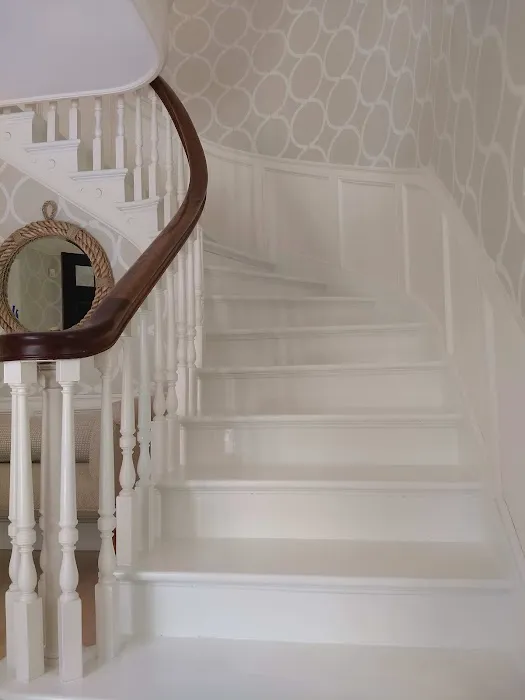 Athena Paint and Plaster Picture 2