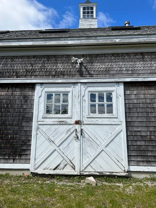 Hay Runner Picture 7