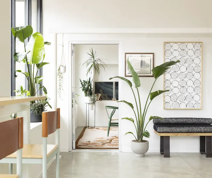 Hay Runner Picture 10