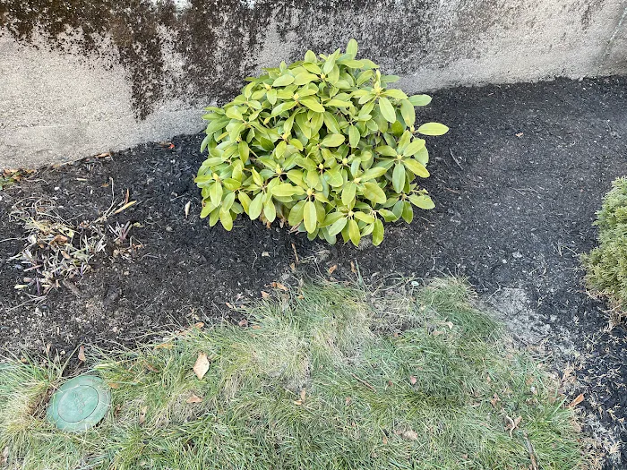 Hammer Basement Waterproofing Picture 9
