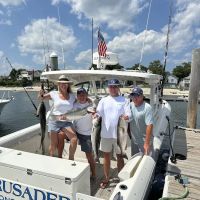 Absolute Services ico