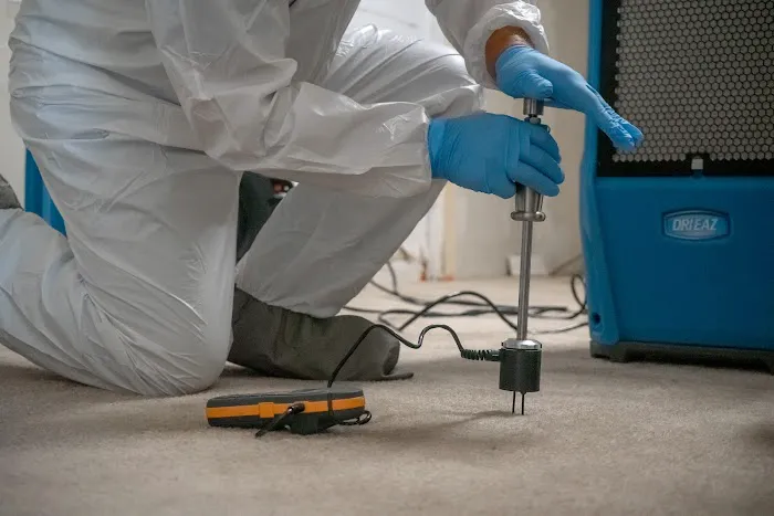 1 of Cape Cod Picture 2