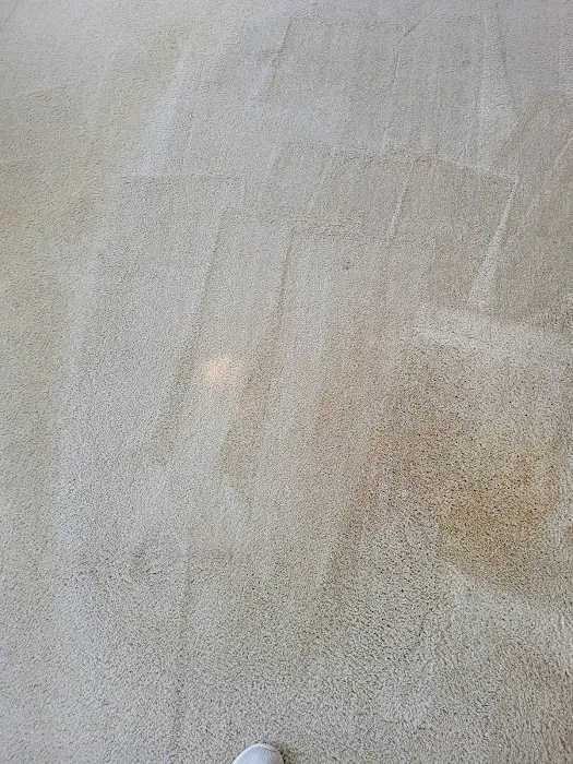 Stanley Steemer Picture 5