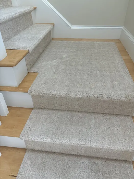 Stanley Steemer Picture 1