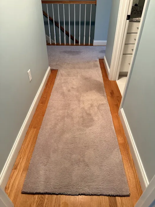 Stanley Steemer Picture 3