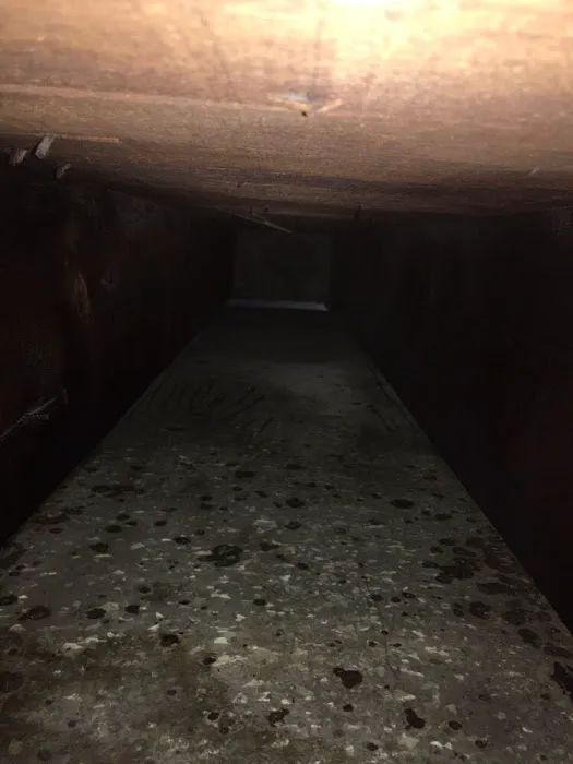 CGC Dryer Vent & Air Duct Cleaning Services Inc Of MA, Picture 3