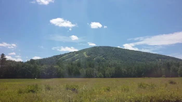 McHattons Water Damage Specialists Picture 1