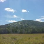 McHattons Water Damage Specialists