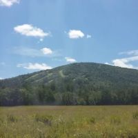 McHattons Water Damage Specialists ico