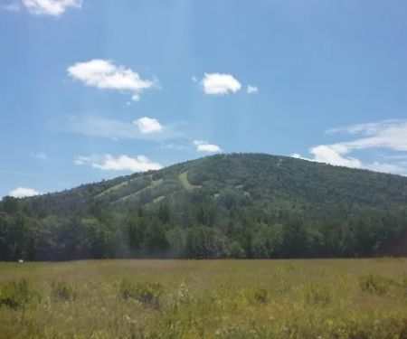 McHattons Water Damage Specialists